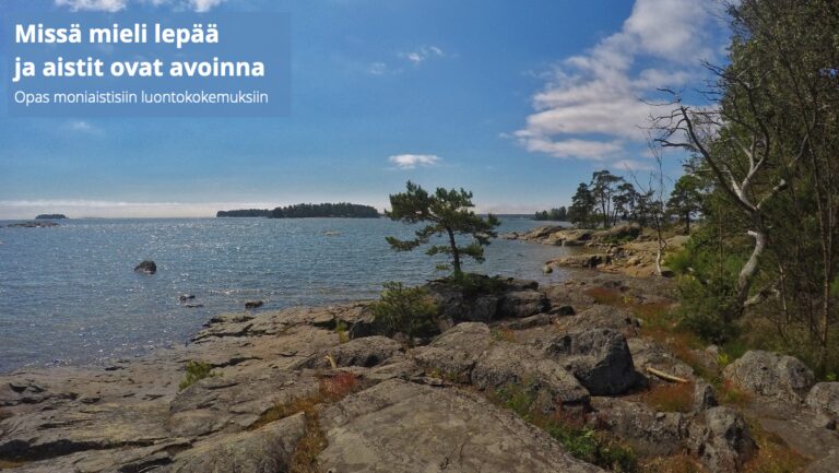 Missä mieli lepää ja aistit ovat avoinna
