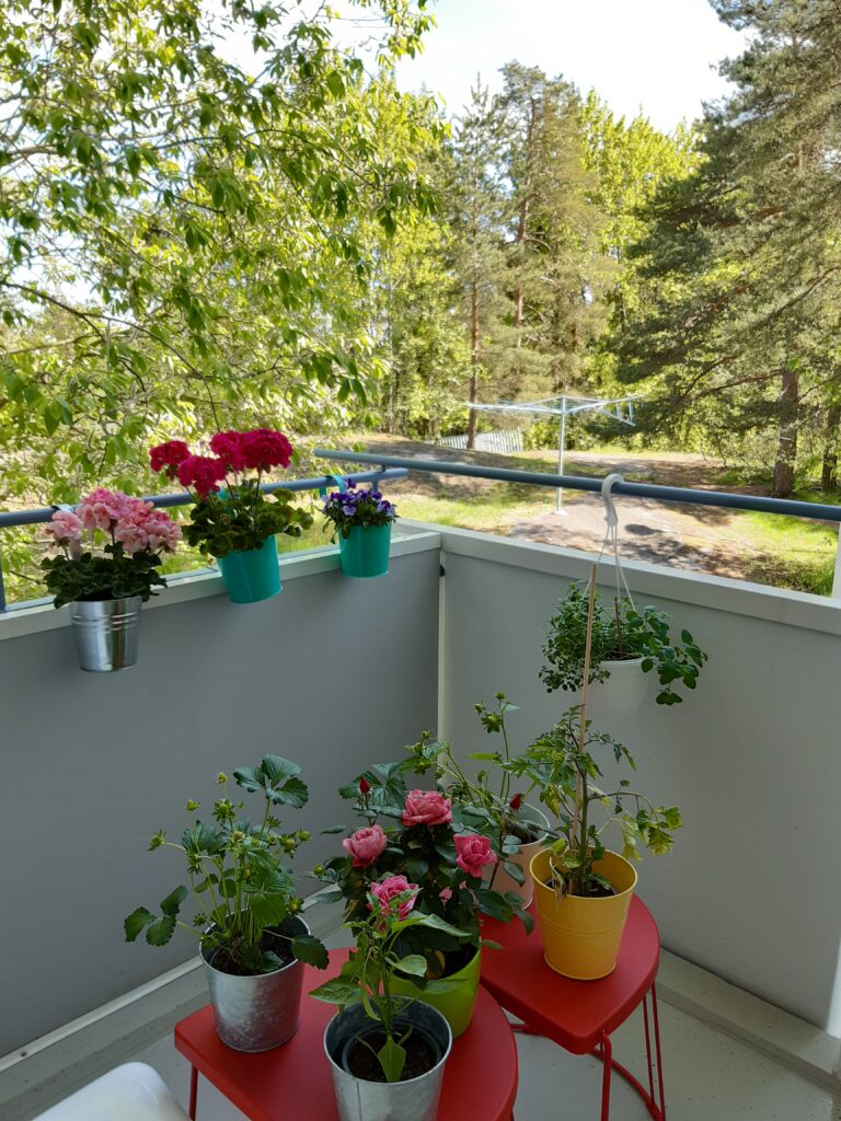 Kuva parvekkeelta istutuksineen