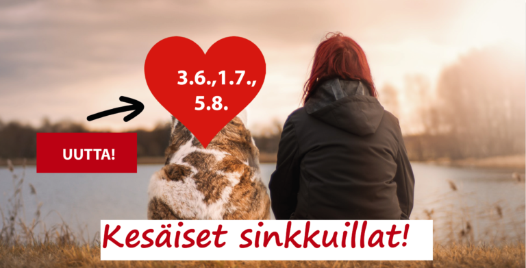 Kuvakaappaus pdf-esitteestä