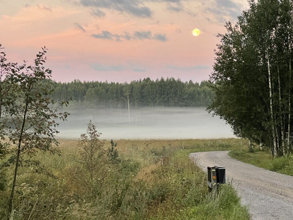 Kuva aamuisesta maalaismaisemasta, hiekkatie, postilaatikot, täysikuu ja sumuinen pelto