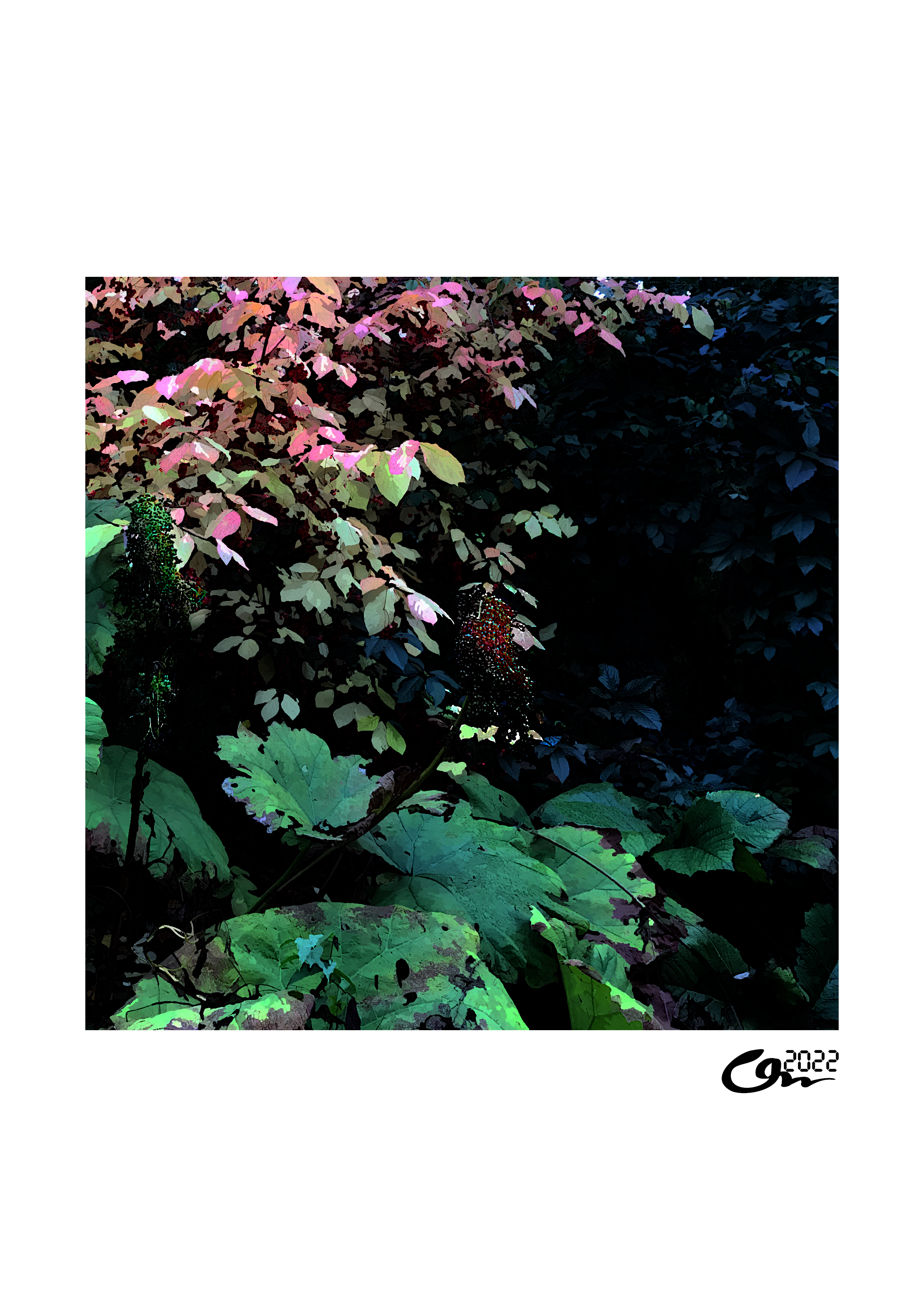 Syksyinen metsä -kuva