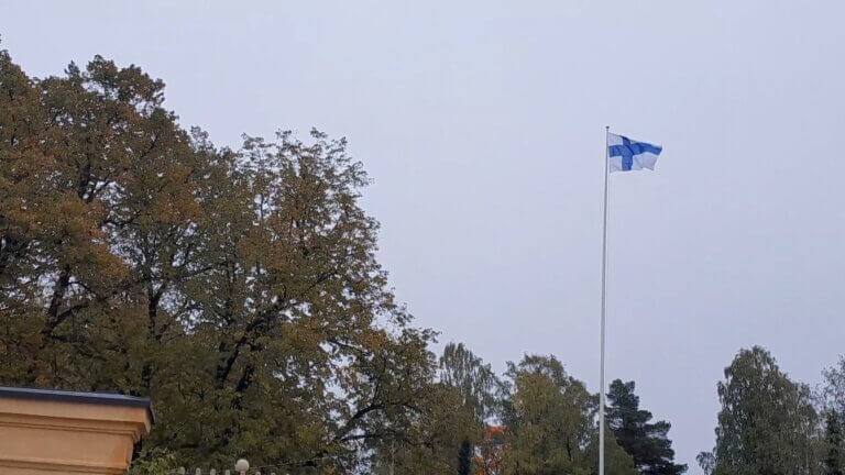Kivi sydämmellä