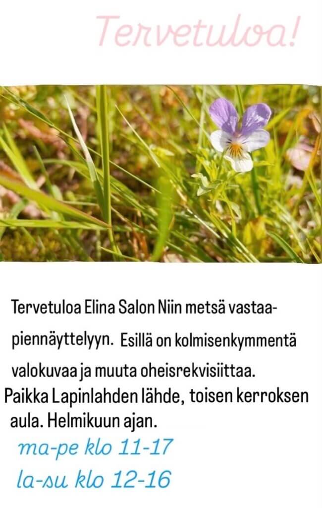 Taidenäyttelymainos:
Tervetuloa Elina Salon Niin metsä vastaa -piennäyttelyyn. Esillä on kolmisenkymmentä valokkuvaa ja muuta oheisrekvisiittaa.

Paikka Lapinlahden Lähde, toisen kerroksen aula. Helmikuun ajan.
ma-pe klo 11-17
la-su klo 12-16